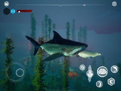 Maneater - サメRPGの画像