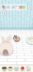 いつも、うさぎと一緒ならの画像