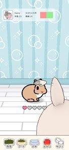 いつも、うさぎと一緒ならの画像