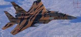 Red Flag Simの画像