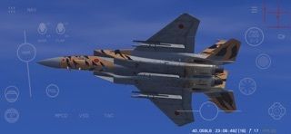 Red Flag Simの画像