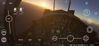 Red Flag Simの画像