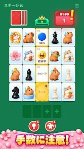 Category Match Solitaireの画像