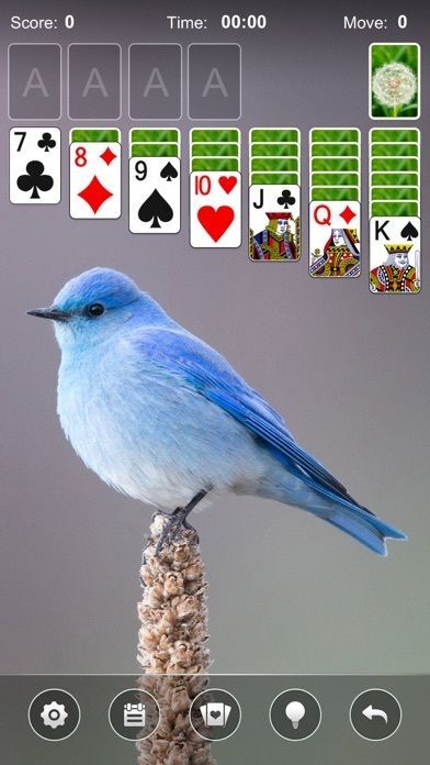 Solitaire Card Game by Mintの画像