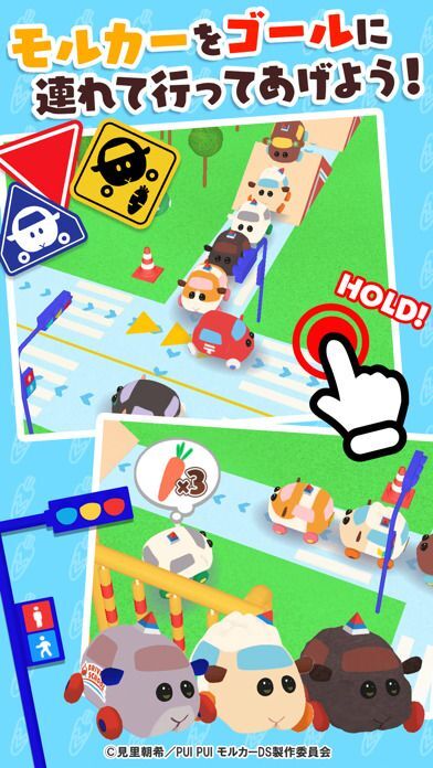 PUI PUI モルカー どきどきドライビングスクールの画像
