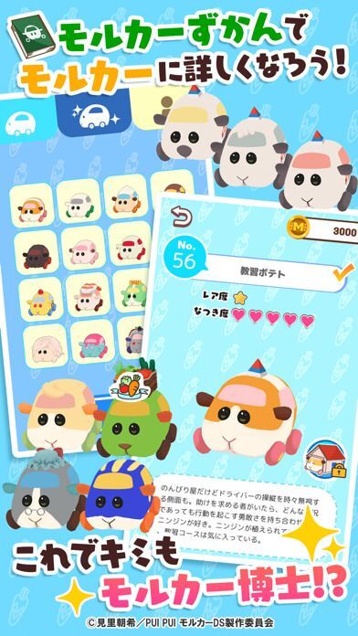 PUI PUI モルカー どきどきドライビングスクールの画像