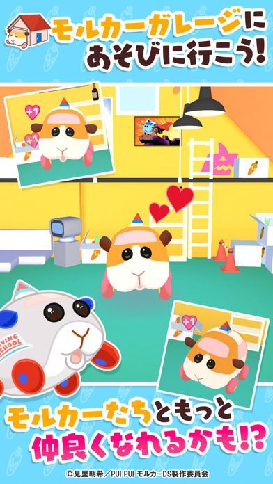 PUI PUI モルカー どきどきドライビングスクールの画像