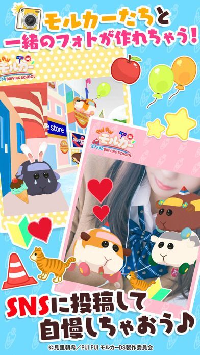 PUI PUI モルカー どきどきドライビングスクールの画像
