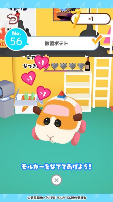 PUI PUI モルカー どきどきドライビングスクールの画像