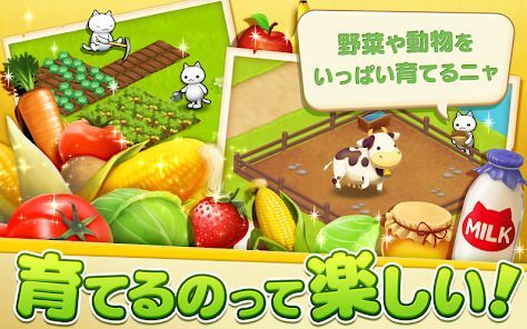 ほしの島のにゃんこの画像