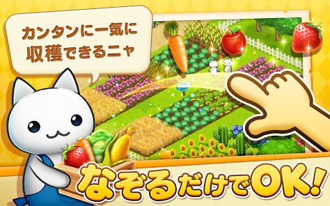 ほしの島のにゃんこの画像