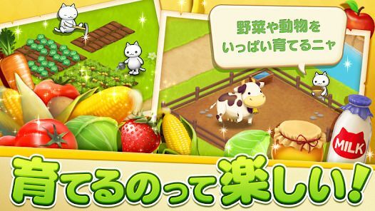 ほしの島のにゃんこの画像