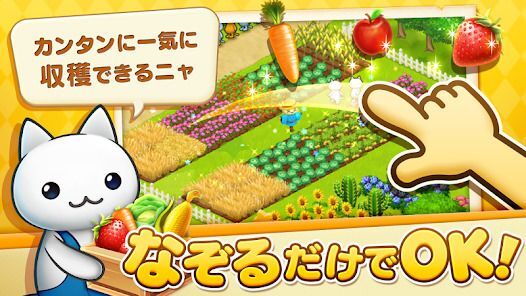 ほしの島のにゃんこの画像
