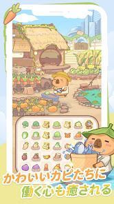 カピバラ日和の画像