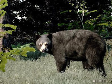 Way of the Hunter Wild Americaの画像