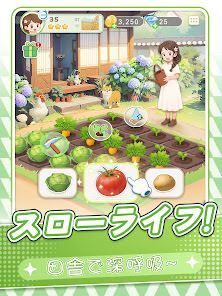 小森の宿 らららの画像