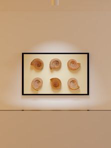 脱出ゲーム Museum -封印された宝物博物館からの脱出-の画像