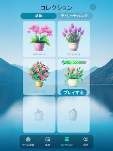 Arcadia Zen Math-クロス数学パズルの画像