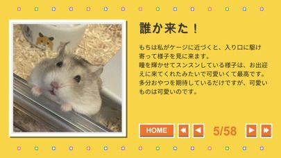 Moci Over Itの画像