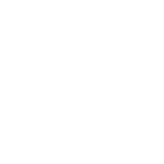 Paper Rex