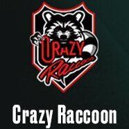Crazy Raccoon
