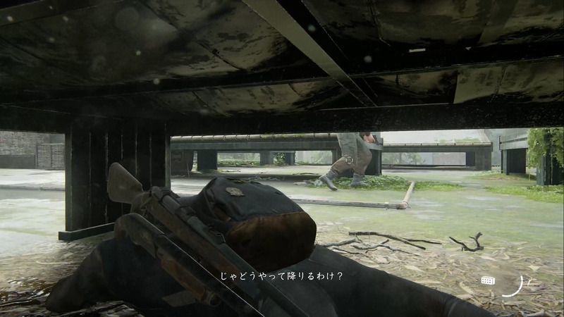 屋上では太陽光パネルの下に隠れる