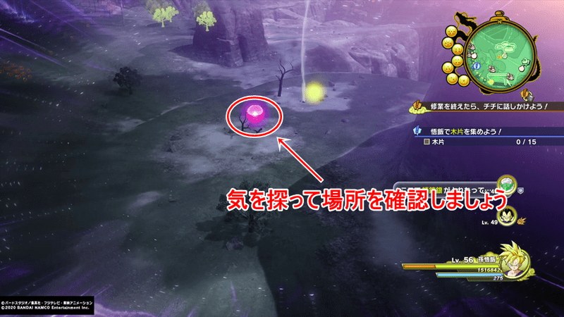 東の大渓谷エリア木片