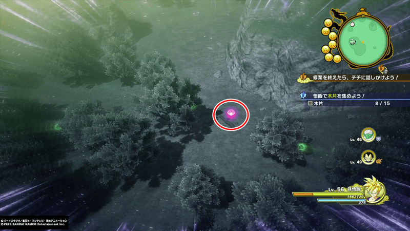 カリン塔・西側木片