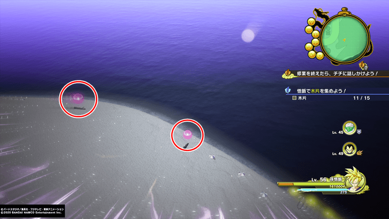 最南端の島々エリア木片