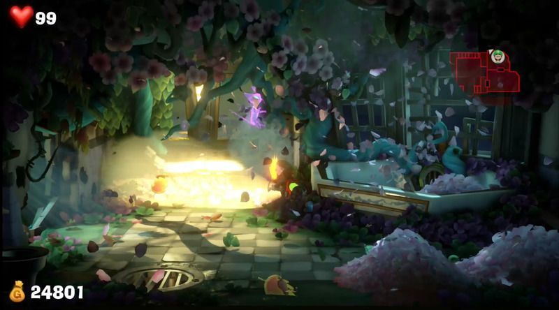 ネコを追いかける