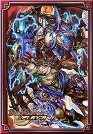 B・W・DSスリーブ