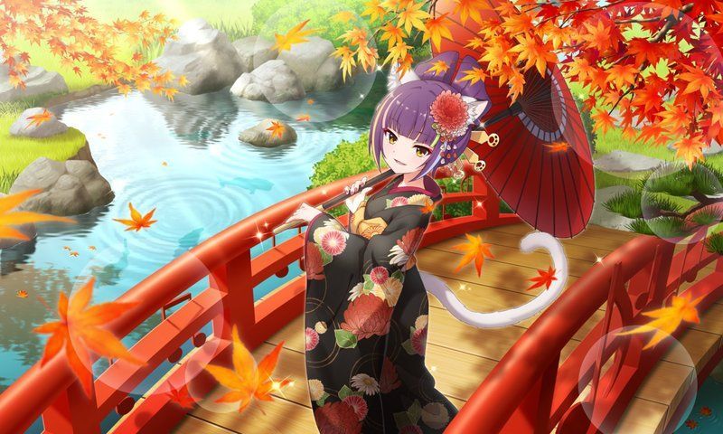 鮮やかな彩りでありんすなあ ダル太夫 ショバフェス攻略wiki Gamerch