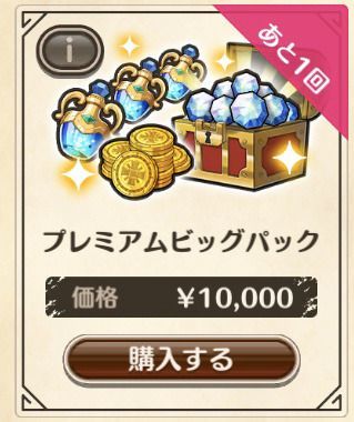 プレミアムビッグパック