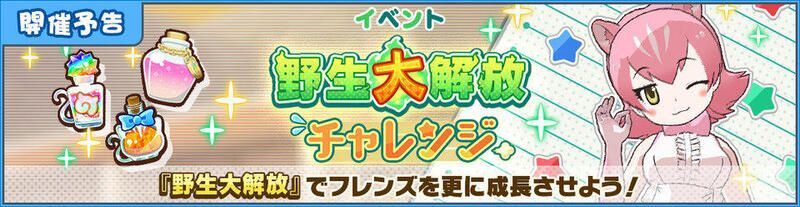野生大解放チャレンジ