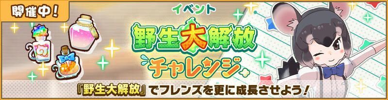 野生大解放チンチラ