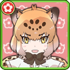 ジャガー(連撃の極意)