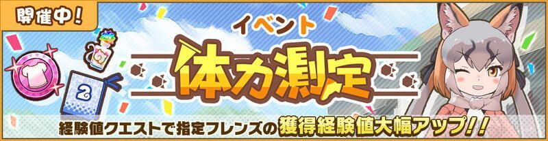 体力測定 シマハイイロギツネ編