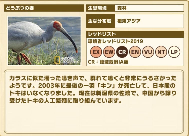 けもフレ3 トキ 疑惑の美声 の性能と評価 けものフレンズ3 けものフレンズ3攻略まとめ Gamerch