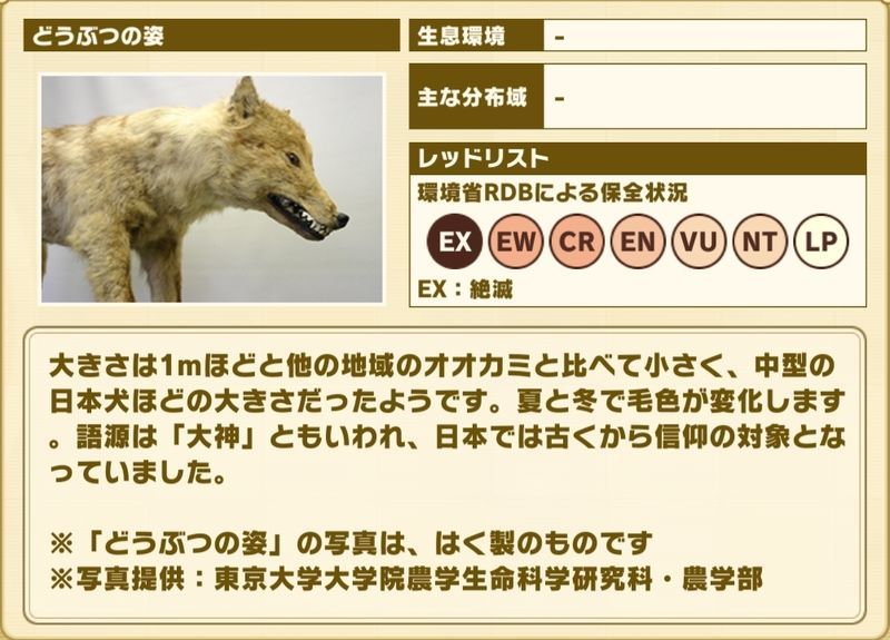 けもフレ3 ニホンオオカミの性能と評価 けものフレンズ3 けものフレンズ3攻略まとめ Gamerch