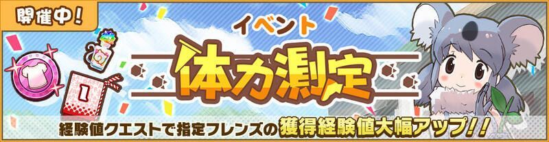 体力測定 コアラ編