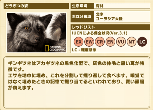 けもフレ3 ギンギツネの性能と評価 けものフレンズ3 けものフレンズ3攻略まとめ Gamerch