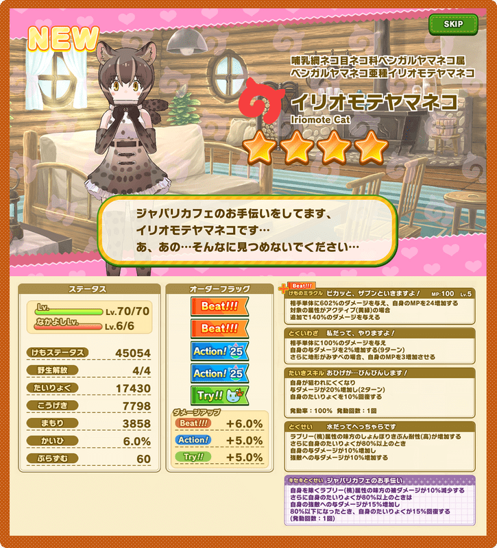 イリオモテヤマネコ