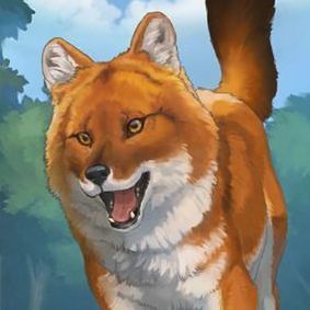 動物フォトドール