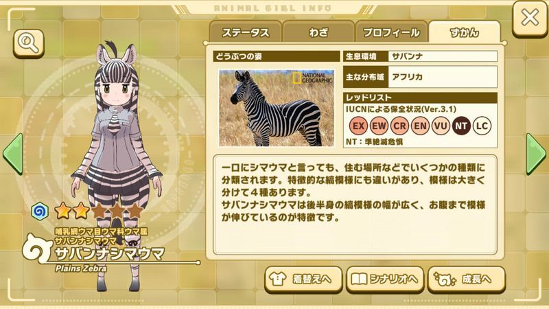 ★2サバンナシマウマ