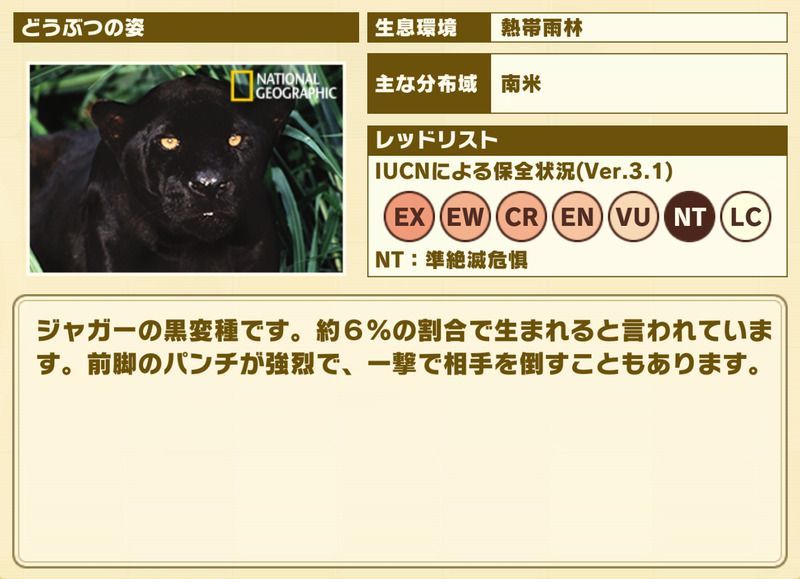 けもフレ3 ブラックジャガー 一撃の極意 の性能と評価 けものフレンズ3 けものフレンズ3攻略まとめ Gamerch