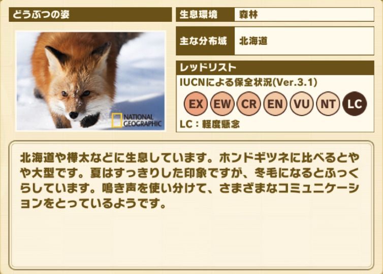 けもフレ3 キタキツネ ぷろげーまー の性能と評価 けものフレンズ3 けものフレンズ3攻略まとめ Gamerch