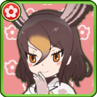 【みんなでクールに】オオタカ