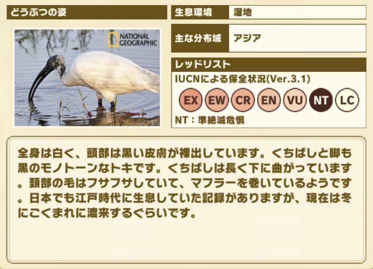 けもフレ3 クロトキの性能と評価 けものフレンズ3 けものフレンズ3攻略まとめ Gamerch