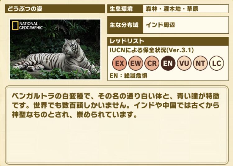 けもフレ3 ホワイトタイガーの性能と評価 けものフレンズ3 けものフレンズ3攻略まとめ Gamerch