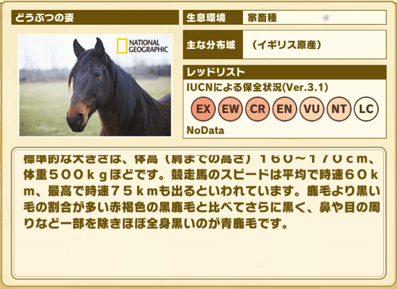 HCサラブレッドあおかげ　プロフィール2